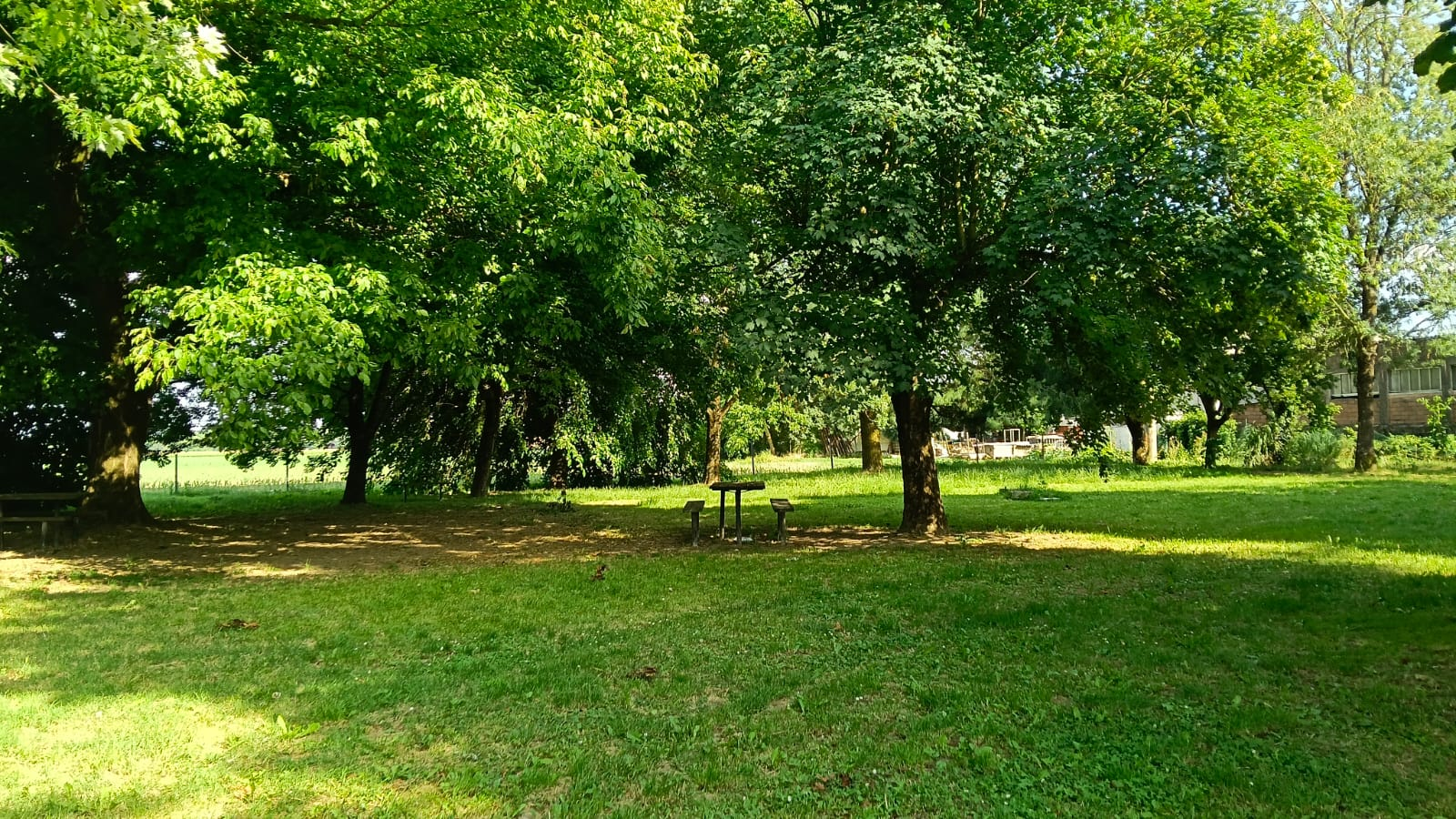 Parco verde con tavolo sotto gli alberi